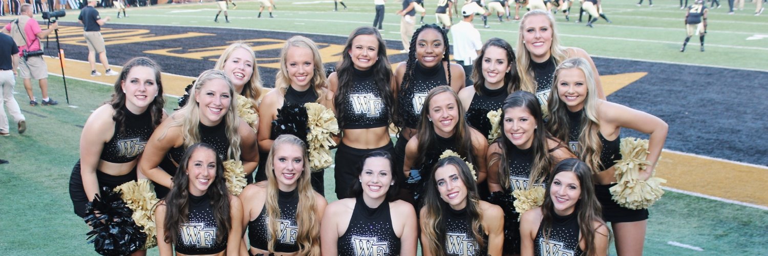 Wake Forest University Dance Team banner