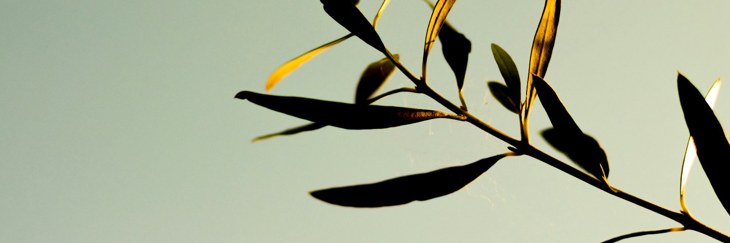 dancepixies's profile banner image