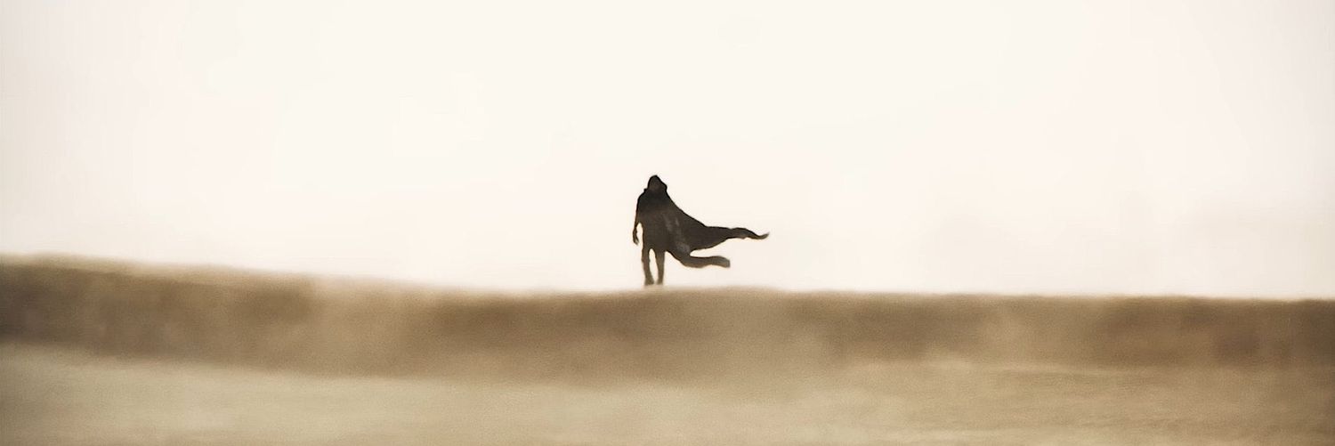 tucajanuzzi's profile banner image