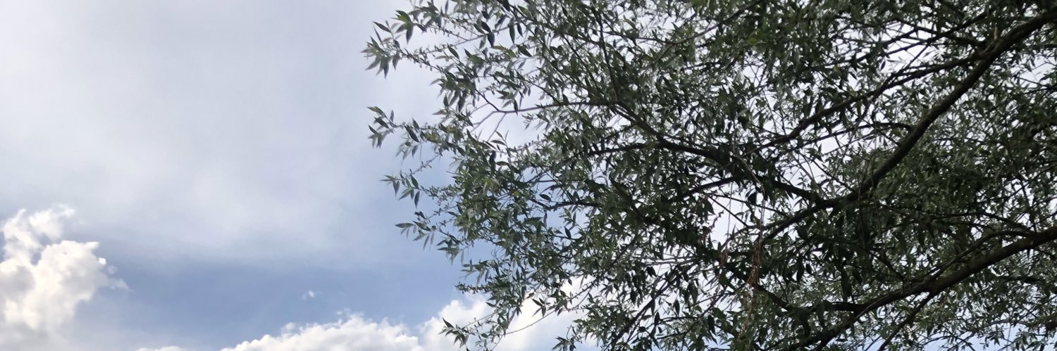 avsenacakir's profile banner image