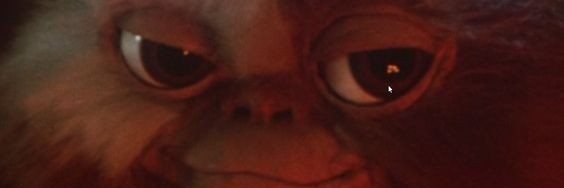 pedrodav11's profile banner image