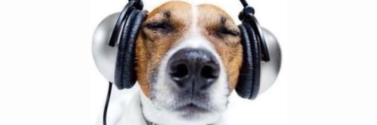 siteversions's profile banner image
