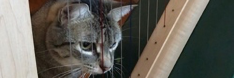 SherriMatthew's profile banner image