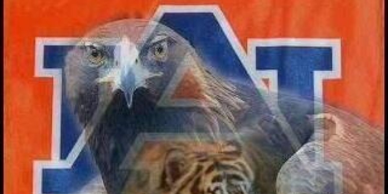 WilliamAU34's profile banner image