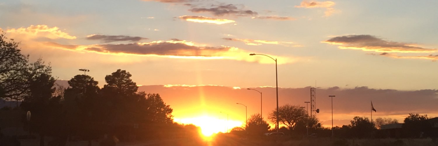 Richard Strout banner