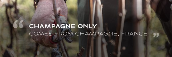 Champagne Profile Banner