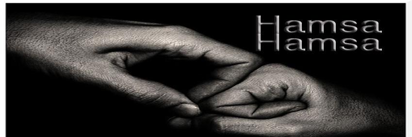 Am_Hamsa's profile banner image