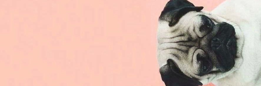 heyyco's profile banner image