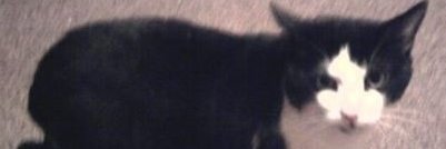 nobla_fc's profile banner image