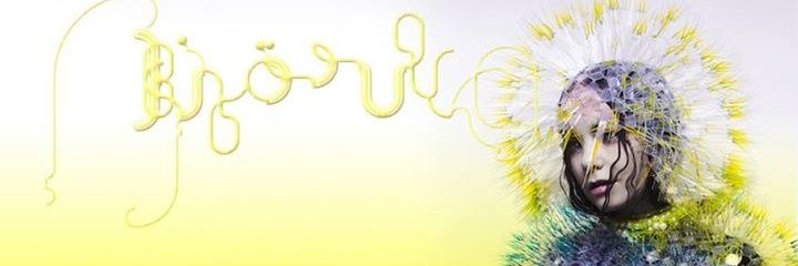lluna_e's profile banner image