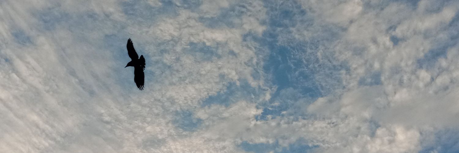 S_DasMe's profile banner image