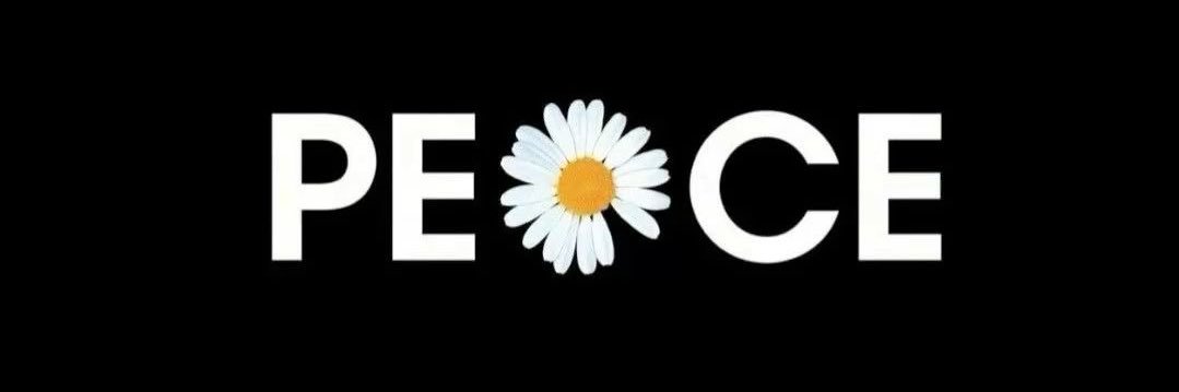 Pie banner