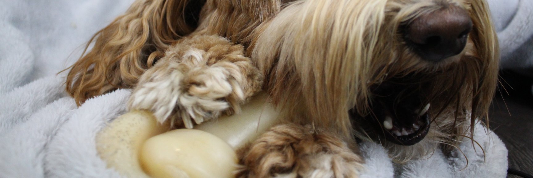 ImWeebo's profile banner image