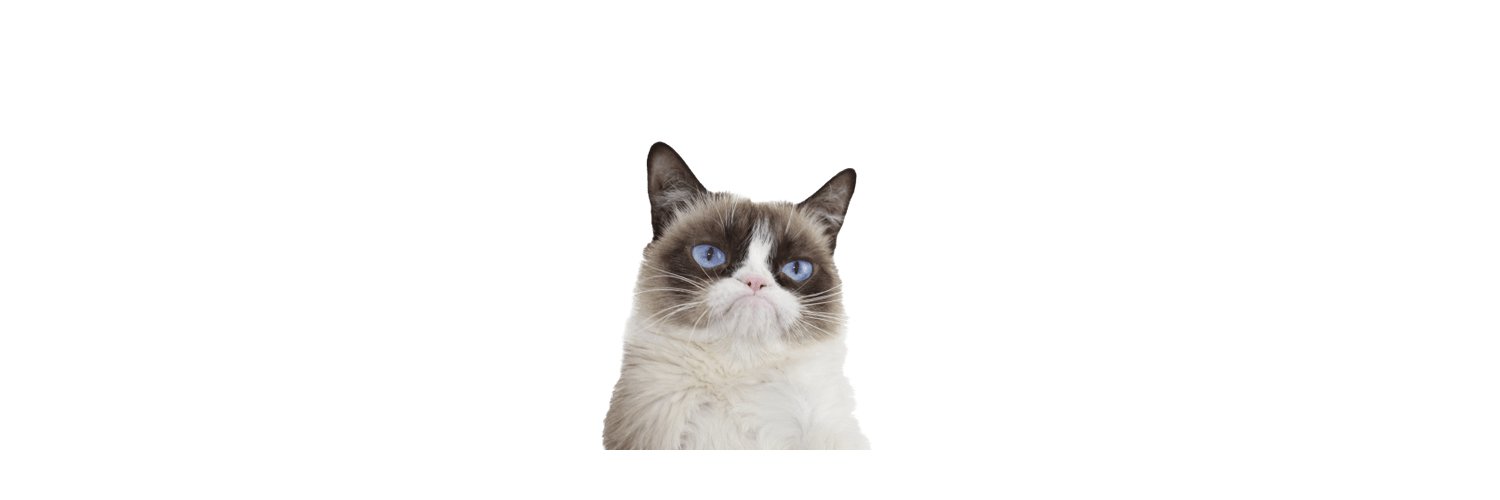WhySocial_Media's profile banner image