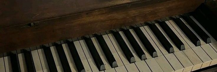 ddaengminyg's profile banner image