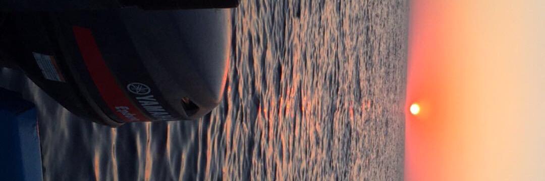 SaidSehseh's profile banner image