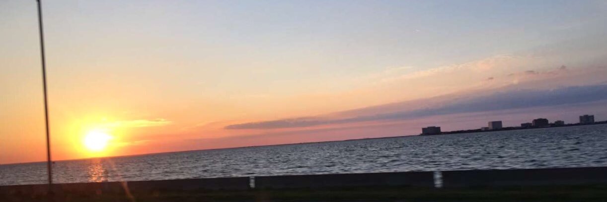 mariannar61's profile banner image