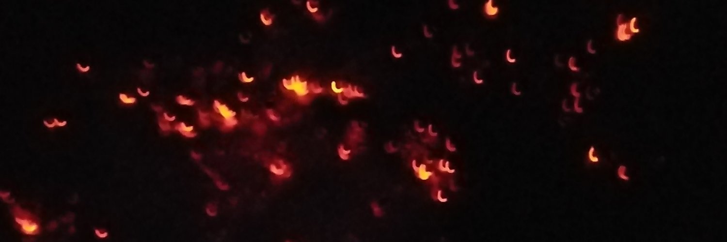 El__Don_'s profile banner image