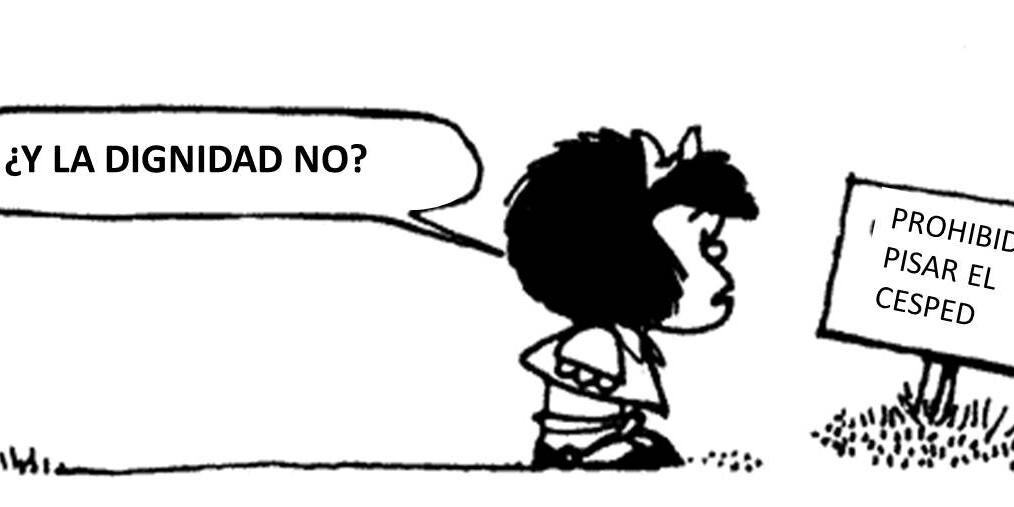 NCecily's profile banner image