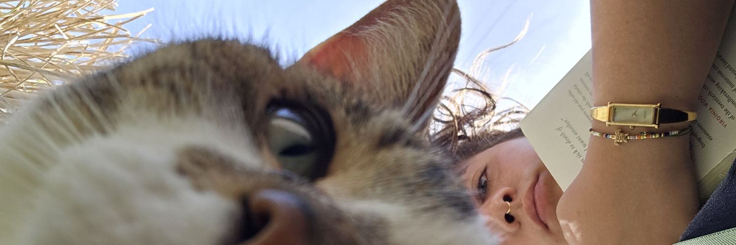 DreaSecchi's profile banner image