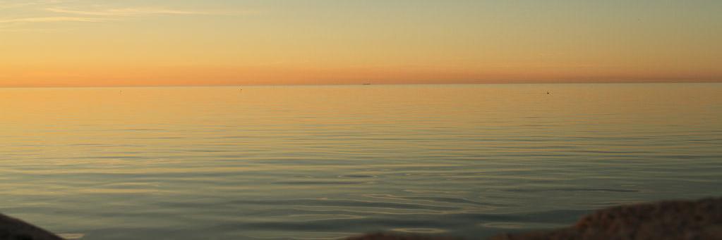 TervitusiToome's profile banner image