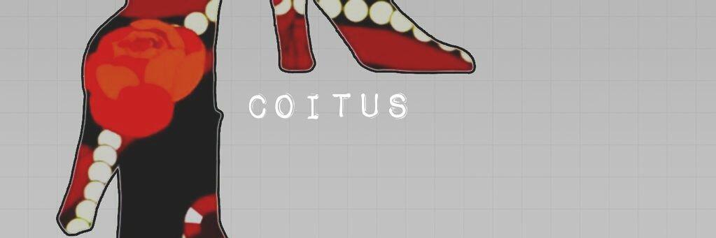COITUSBASE's profile banner image