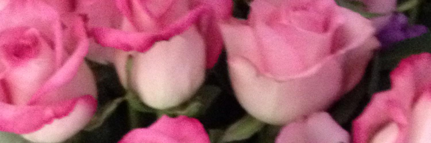BelleofFour's profile banner image