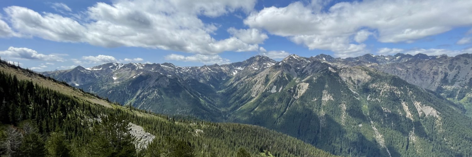 Tara Sikorski banner