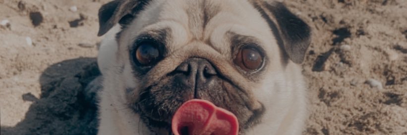 pmarinrios's profile banner image