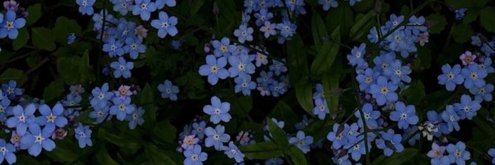 _BriC_'s profile banner image