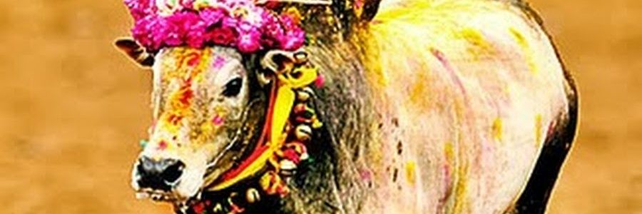 karanmani10's profile banner image