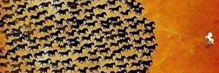 dogar75's profile banner image