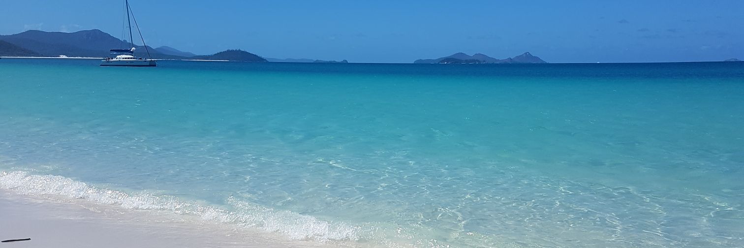 Sebastiaan Kardol banner