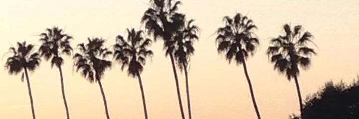 Katie  Motusesky banner