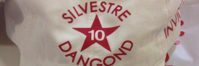 SilvesFirmes's profile banner image
