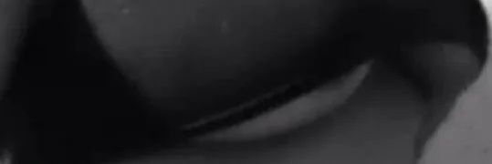prexioxa_11's profile banner image