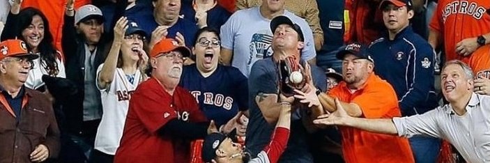 Greg in WPB ⚾️ 🦋 banner