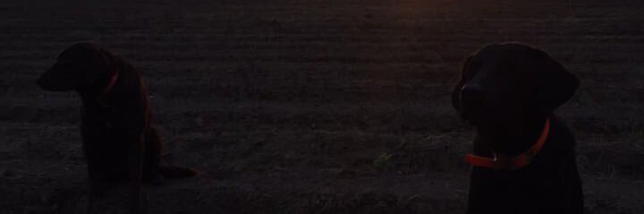 Ctempluv69's profile banner image