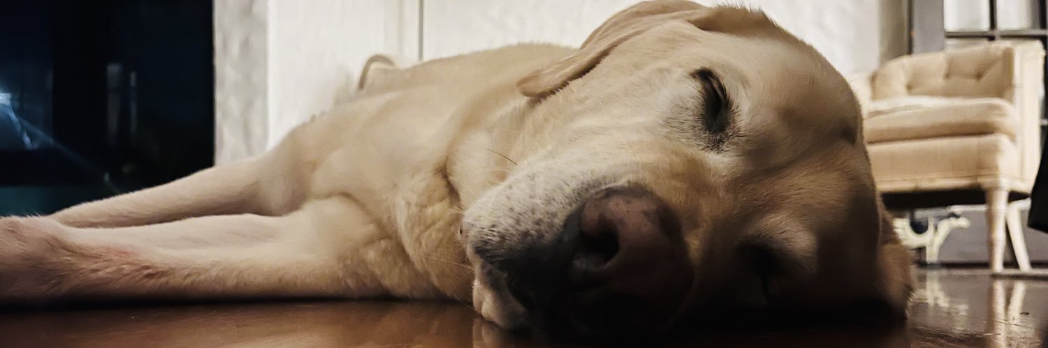 Steve Truebner banner