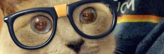 go_sonics's profile banner image