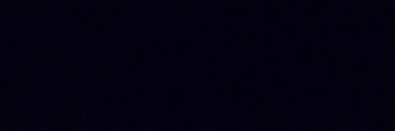 ShutItDownNYC's profile banner image