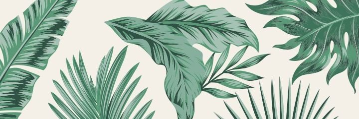 IssaKey__'s profile banner image
