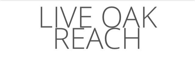 reach_live's profile banner image