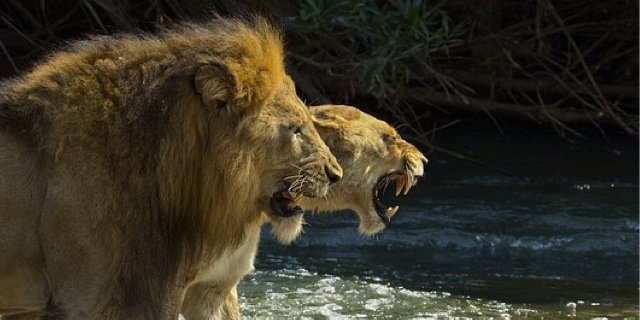 el_dirtybean_'s profile banner image