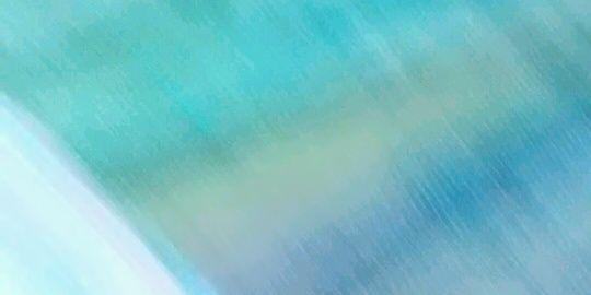 Sally Longphoi banner