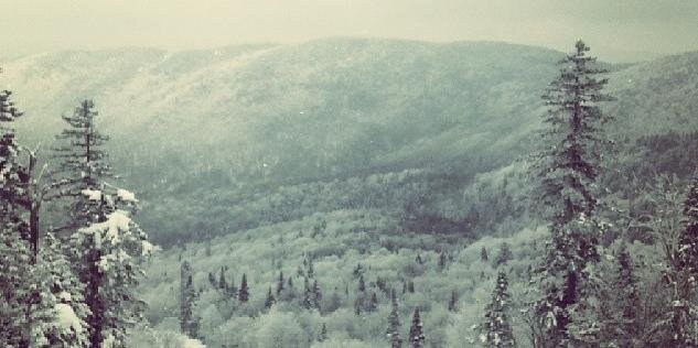 EduardLev's profile banner image