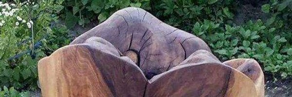 The_Tooth_Doc Profile Banner