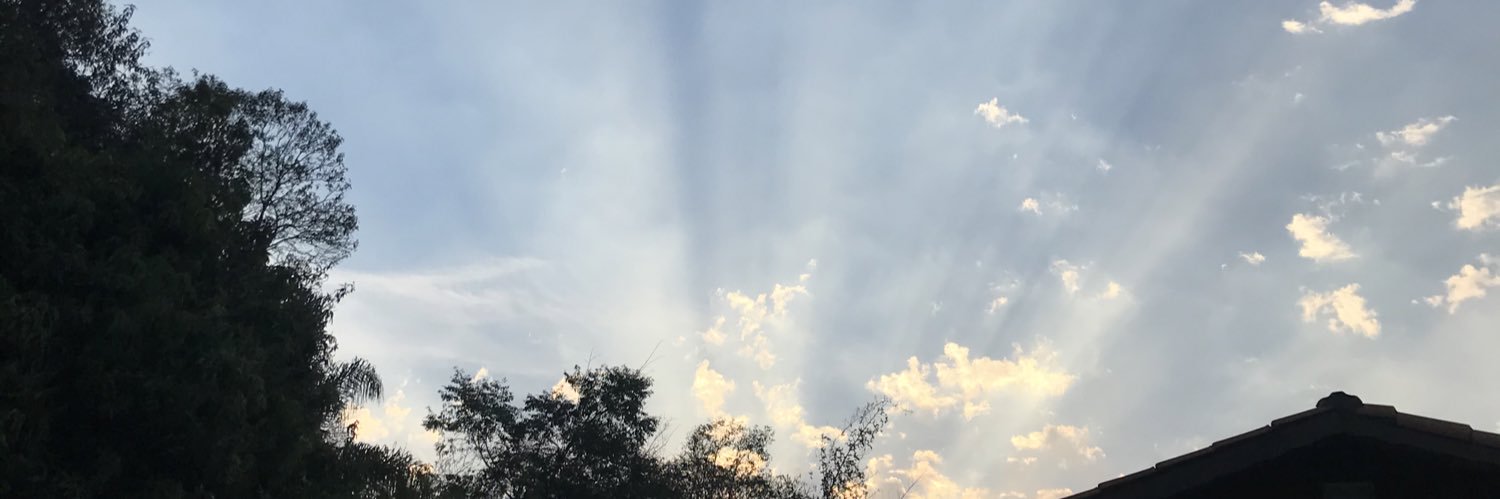 aves2o_'s profile banner image