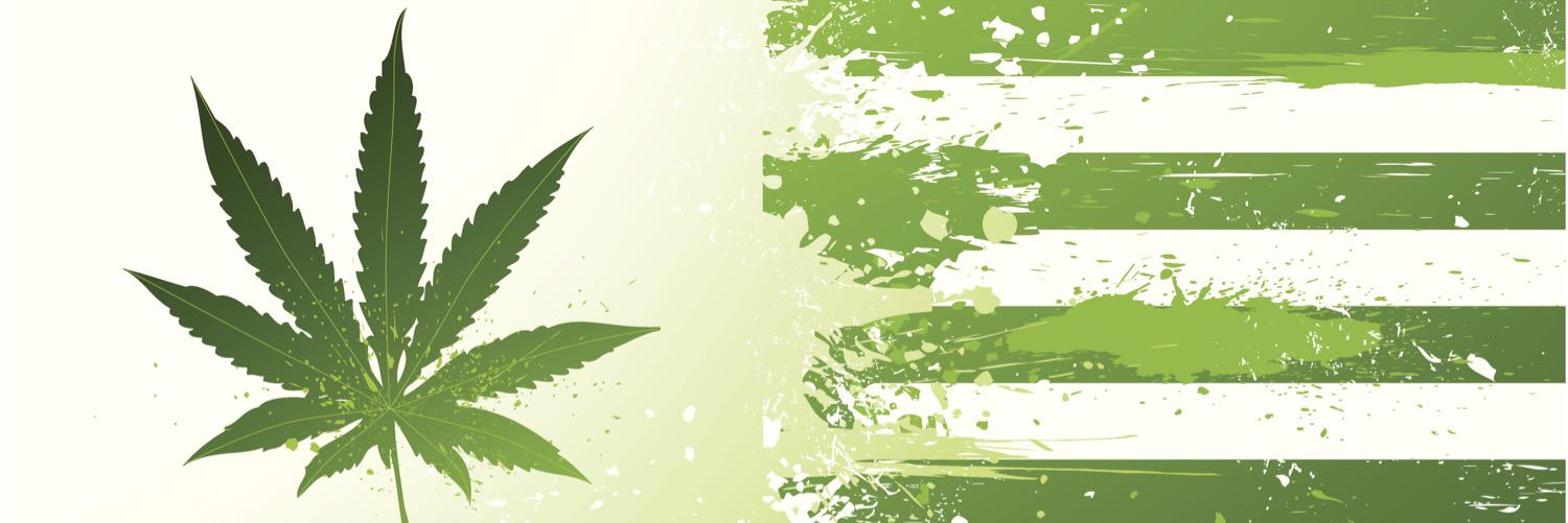 JacksHempLadder's profile banner image