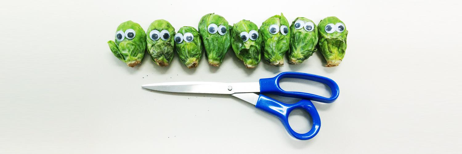 humansVSsprouts's profile banner image